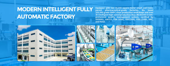 کیفیت دسر خفیف و مغذی چینی کارخانه